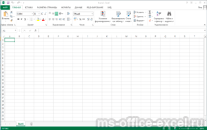 Excel 2013